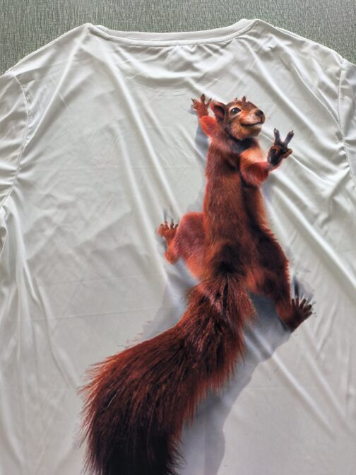 2652ebc96924fbebb2727d4f5d9ba630