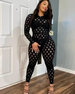 Hollow Zip Back Jumpsuit, Sexy Bodycon Long Sleeve Long Length Jumpsuit
