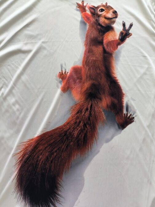 822e7d8f7f23629cd51a48a7f268935d